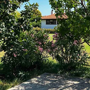 Casa La Vida , Galižana Kroatien